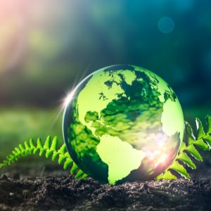 How to Embrace Sustainability!