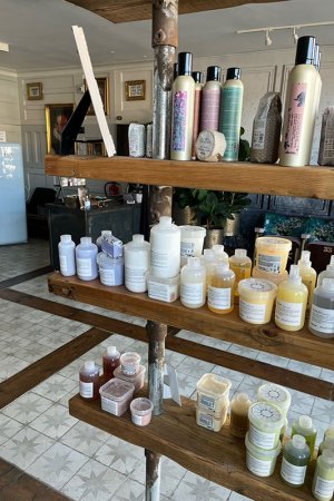 The Dumb Brunette Hair Salon in Wollaton, Nottingham