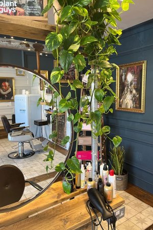 The Dumb Brunette Hair Salon in Wollaton, Nottingham